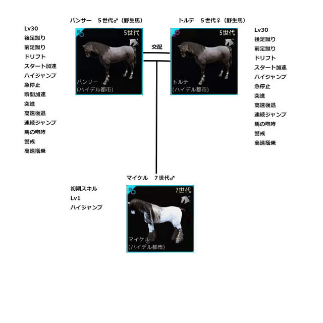 第５世代野生馬どうしの交配 その２ 馬の系譜