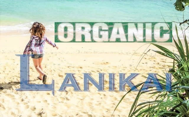 Ogオリーブオイルクレンジング 四谷 四谷三丁目 曙橋 信濃町 麹町エリアlanikai 美容院 美容 室 Organic Salon Ogオリーブオイルクレンジング 四谷 四谷三丁目 曙橋 信濃町 麹町エリアlanikai 美容院 美容 室 Organic Salon