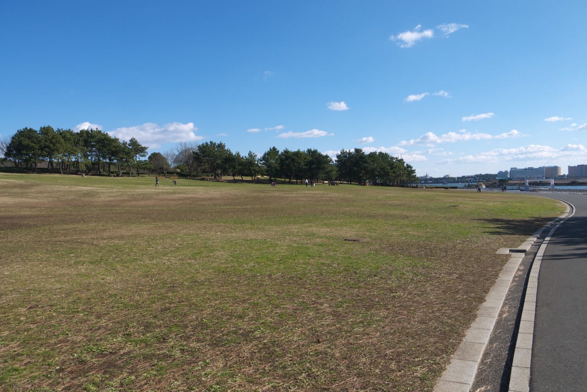 １月の葛西臨海公園 汐風の広場と西 東なぎさの周辺 ｐａｒｔ２ 緑には 東京しかない