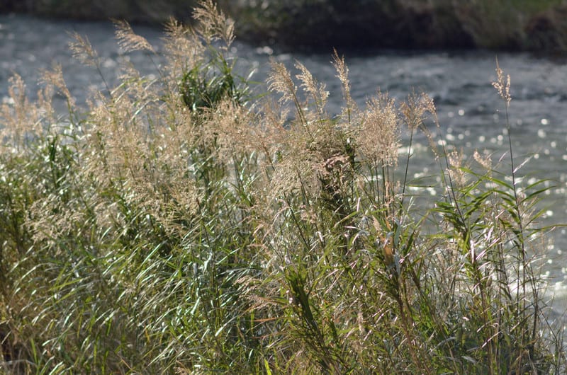 Dsc_6705_2 Dsc_6705_2