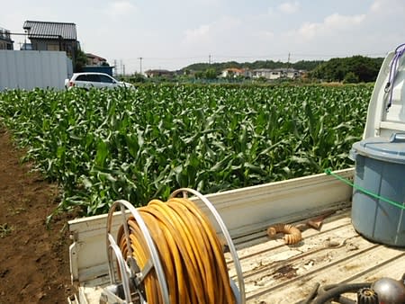 トウモロコシ 8期 10期 枝豆全面 の消毒 Kishi1生産履歴 トウモロコシ 8期 10期 枝豆全面 の消毒 Kishi1生産履歴