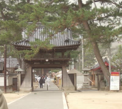 善通寺伽藍　中門遠望