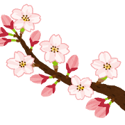 桜は縁起が悪い花だった について考える 団塊オヤジの短編小説goo