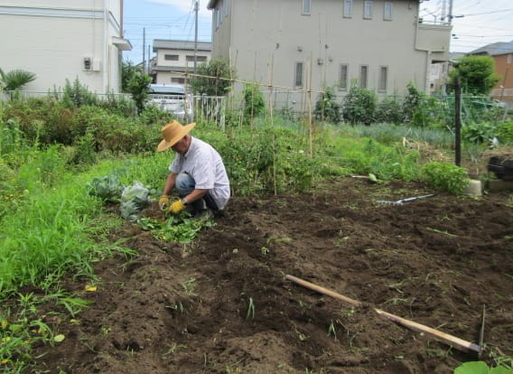 畑仕事とトマト ジャガイモ 枝豆収穫 夫婦で楽しむナチュラル スロー ライフ