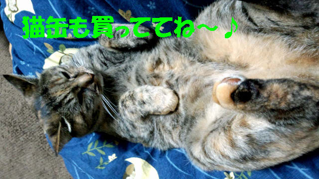 イメージ 2