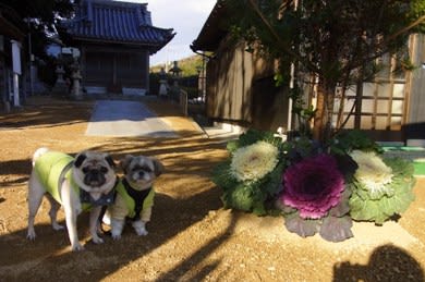 ①杉尾神社