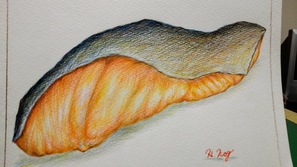 色鉛筆で鮭の切り身描いてみた ノグブラックの 超色鉛筆 ノグブログ