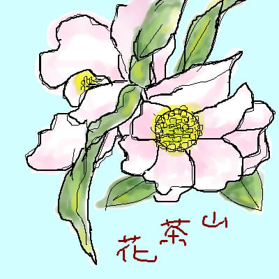 可愛いピンク白の花