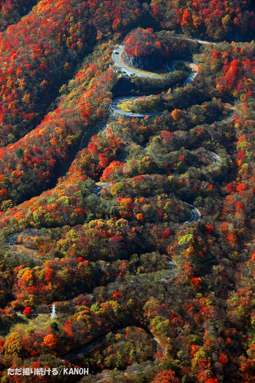 いろは坂２ ただ撮り続ける 叶悠眞