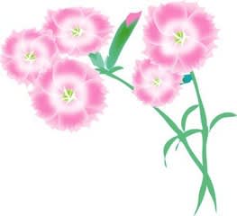 06年6月のブログ記事一覧 Yosigamo Sakura の いけ花ガーデニング 緑 風 陽 と 花イラスト