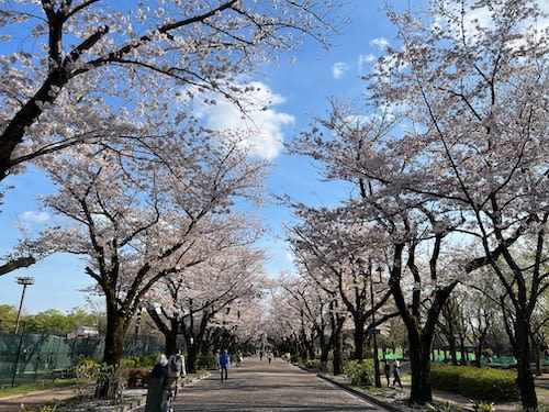 2023年4月に見たい展覧会【明治美術狂想曲/谷川俊太郎/大阪の日本画