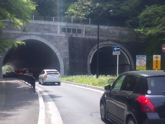 鎌倉・湘南サイクリング