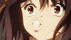 蝉がうるさいな ハイネのブログ 蝉がうるさいな ハイネのブログ