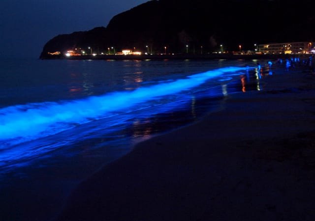 青く光る波 Night Wave 逗子海岸 16 四季の風景