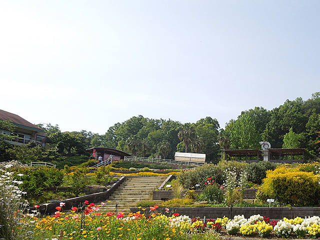 和歌山県植物公園 緑化センター 16 5 14 ふたりの山歩記録