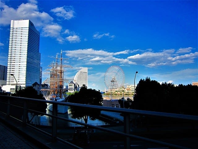 自転車防犯登録 再登録 自転車防犯登録甲カード紛失