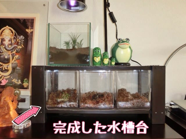 手作りの水槽台 ジュンタクのツノレパフクラ飼育日記 手作りの水槽台 ジュンタクのツノレパフクラ飼育日記