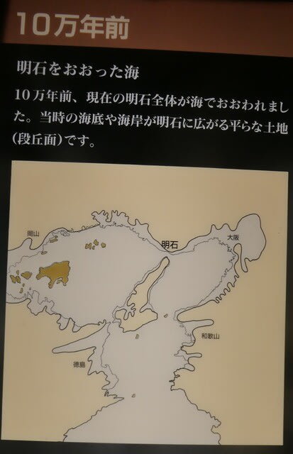 200万年前 明石は湖の底であった 明石市立文化博物館の常設展示より Chiku Chanの神戸 岩国情報 散策とグルメ