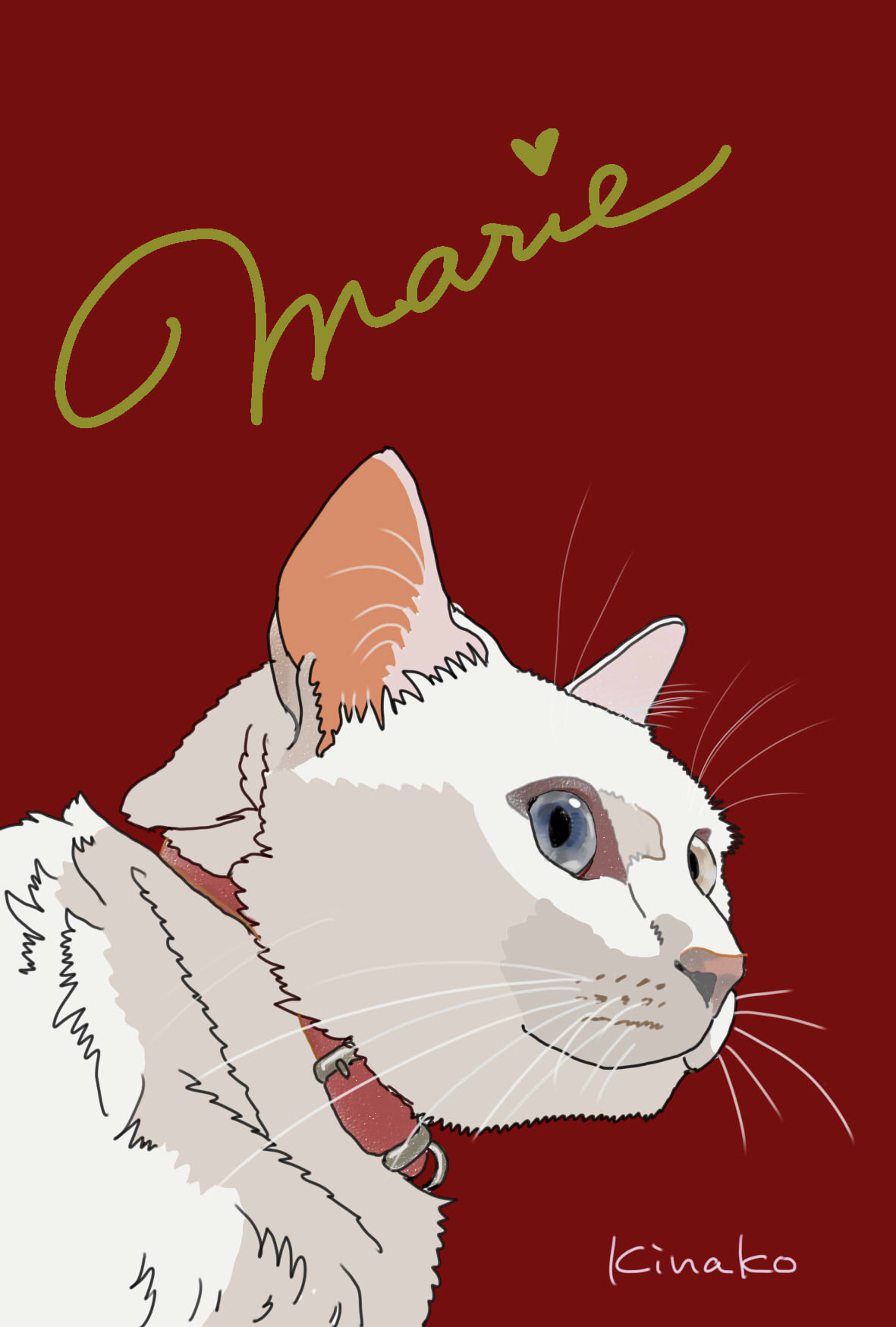 オッドアイのマリーちゃん イラストで 猫絵日記