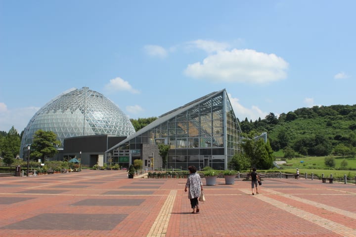 新潟県立植物園と弥生の丘展示館 日日是好日