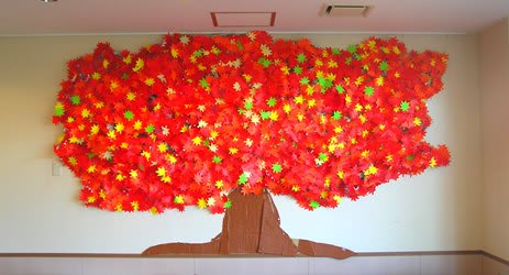 横から見ると芸術度の高さがわかる紅葉の木 社会福祉法人長寿会 陽光の園ブログ