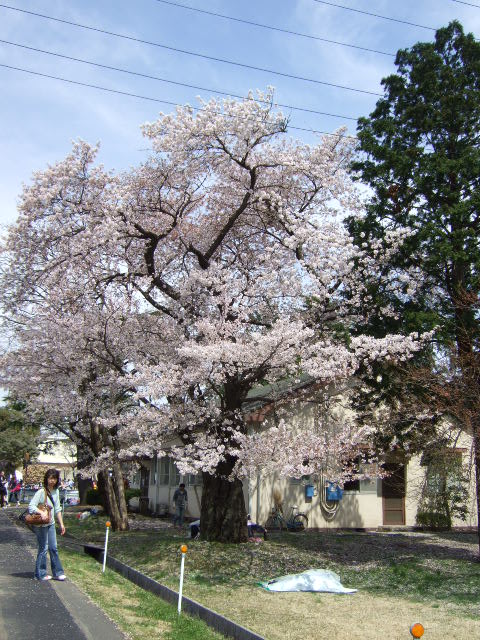 20120415_054 20120415_054