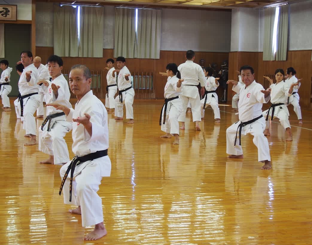 平成28年度 第7回「糸東流技術研修会」が行われました 糸東流空手道「日本空手道会」「糸東流国際空手道会」 平成28年度 第7回「糸東流技術研修会」が行われました 糸東流空手道「日本空手道会」「糸東流国際空手道会」