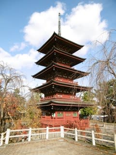 青森県弘前市には 長勝寺が有ります 中学校の修学旅行で行った時には ミイラが有りました しなしなの記録