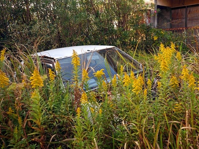 池島炭鉱/アパート中庭の廃車