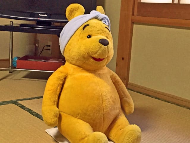 プーさん 群馬県 尻焼温泉 関晴館に行ったんだよおおう その６ Pooh3 Kampf Gruppe プーさん