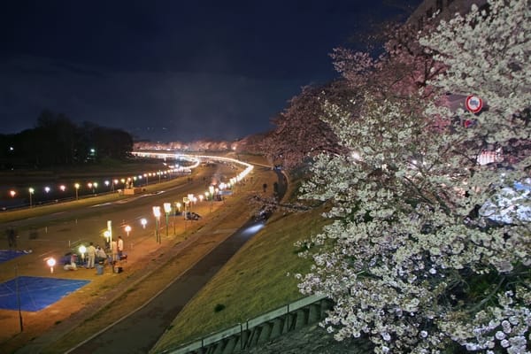 岡山さくらカーニバル16 万華鏡