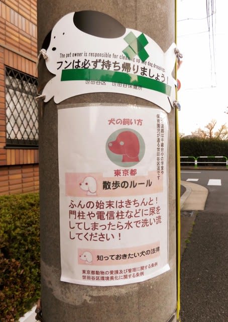電柱に犬が尿をしたら水で洗い流しましょう 東京都条例 犬の飼い方 葵から菊へ 東京の戦争遺跡を歩く会the Tokyo War Memorial Walkers