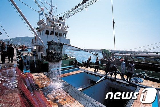 韓国大型巻き網業界 ロシア南クリール海域操業を検討 ロシア漁業ニュースヘッドライン