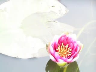 すいれん