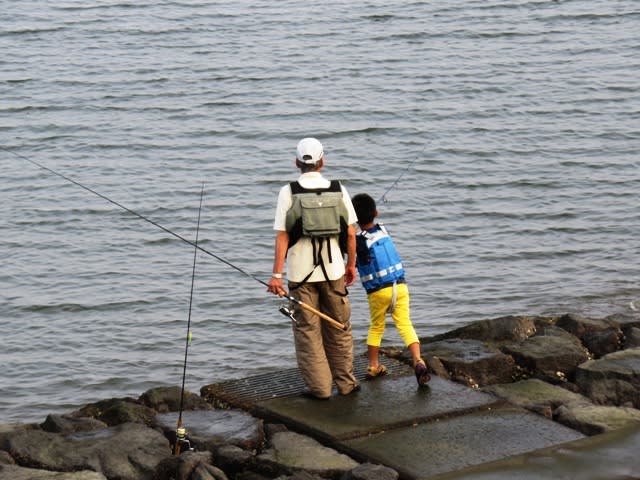 夏休みの思い出の画像