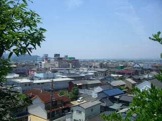 応神山から番町地区を望む