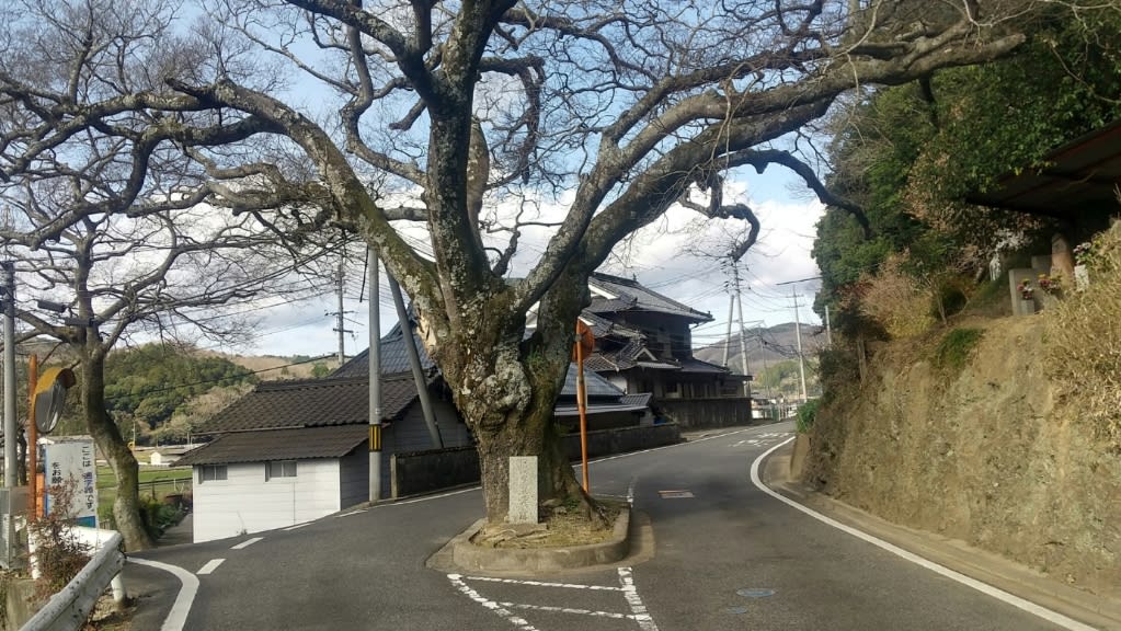 旅20 / 老いの小文 六の④ 河内国喜志村覚え書き帖