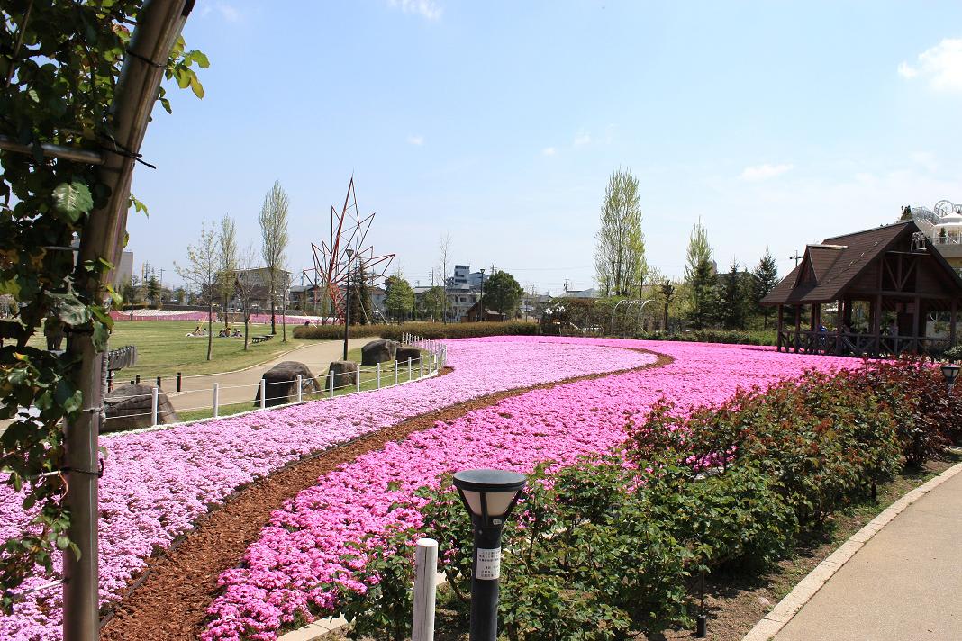 今日の公園は、賑やかだ!!の画像