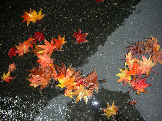 雨の中