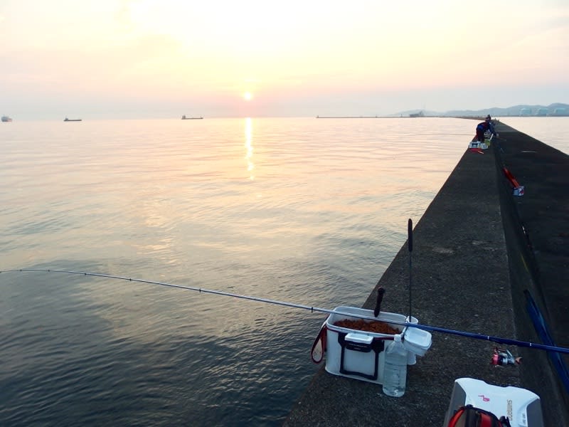 ヘロヘロな4時間 釣行記 トミーの釣行記 ヘロヘロな4時間 釣行記 トミーの釣行記