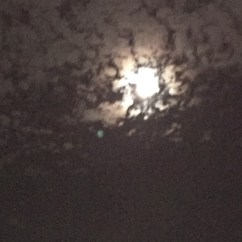 中秋の名月と一緒に写る青い光の玉は 秋麗 質オザサ店主ブログ