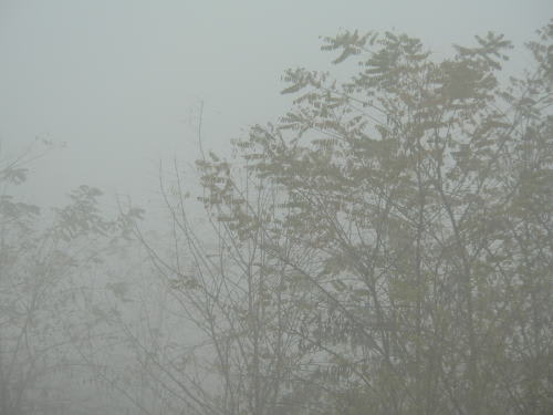 霧の朝（松本市）