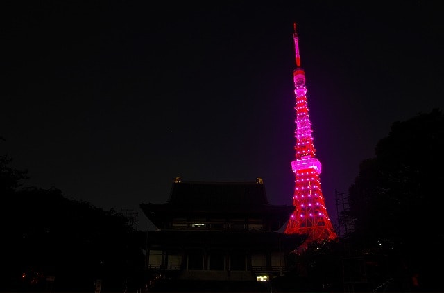 ピンクリボン特別ライティング 東京タワー編 - 初心者の写真+