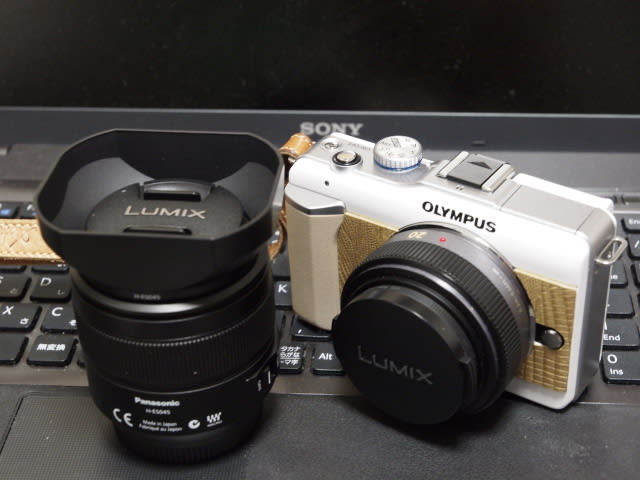 Panasonic LEICA DG MACRO-ELMARIT 45mm - Sceneries through the lenses