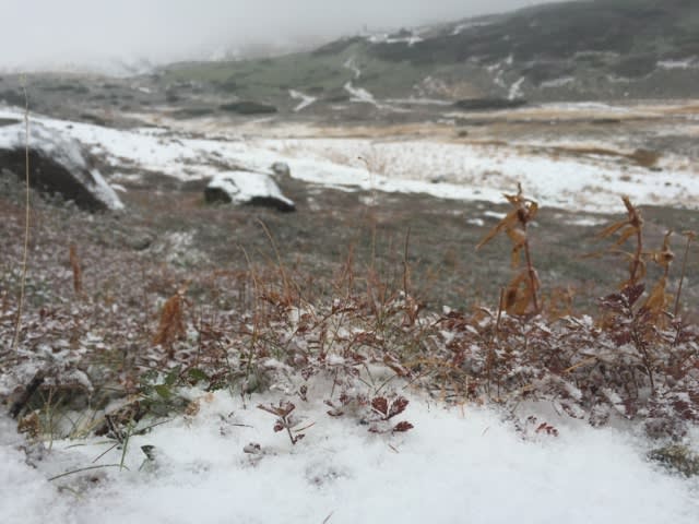 大雪山国立公園 旭岳情報 冬の到来 ｎｐｏ法人大雪山自然学校ブログ
