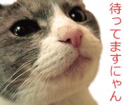 sato1