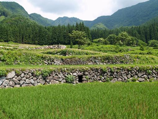 北信州の棚田 福島新田 長野県 飯山市 瑞穂 福島 日本の棚田