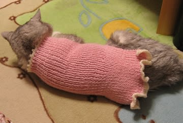 ボディフィットな、にゃんこセーター
