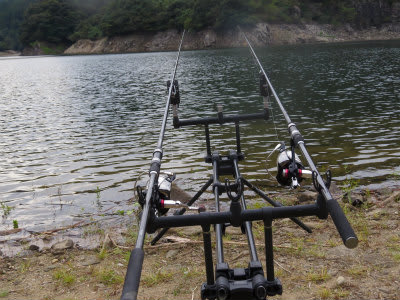 秋のダム湖２ リーマンの鯉釣り日記