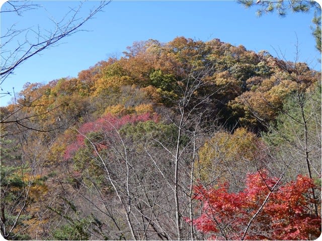 17年11月のブログ記事一覧 飲んでもブログ